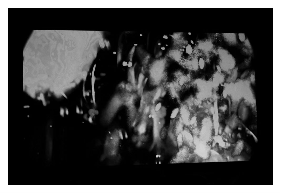 'The Etiquette of Dying' at Vancouver International Film Festival 2023, Photo: Art Perry