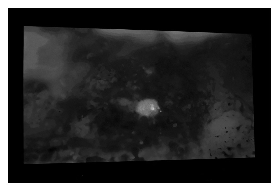 'The Etiquette of Dying' at Vancouver International Film Festival 2023, Photo: Art Perry