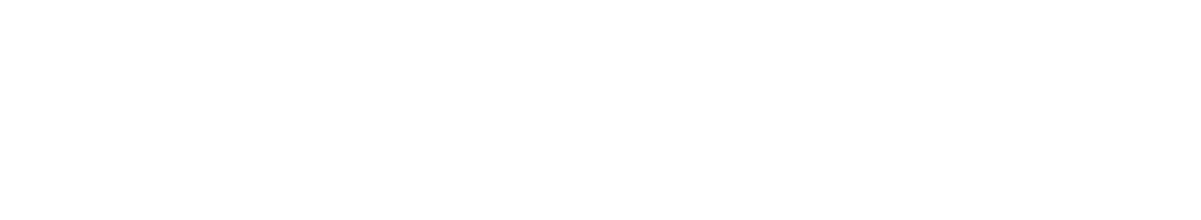 Canada Council for the Arts white logo